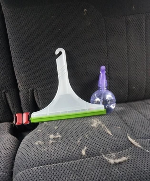Quitando pelo de mascota de asiento de tela